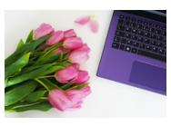 Befreit in den Frühling: Toshiba gibt Tipps für den Computer-Frühjahrsputz