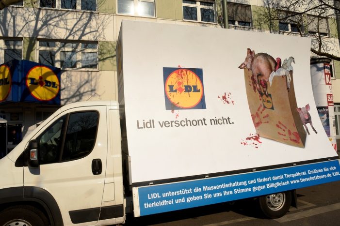 06.04. Demo vor der LIDL Filiale in Münster – Plakatwagen vom Dt. Tierschutzbüro kommt: „LIDL verschont nicht“