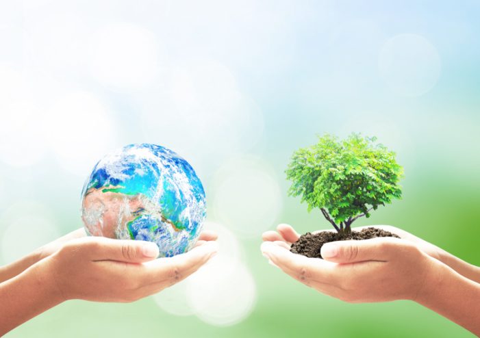 velian–s Weg der Holakratie mit Conscious Business