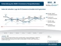 Internationale Multishop-Strategien gewinnen im B2B E-Commerce an Bedeutung
