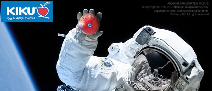 KIKU® Apple in Space“, Frachtflug mit SpaceX zur internationalen Raumstation