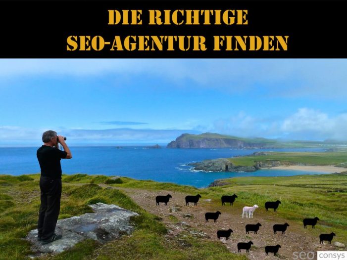 SEOConsys: Eine qualifizierte SEO-Agentur finden