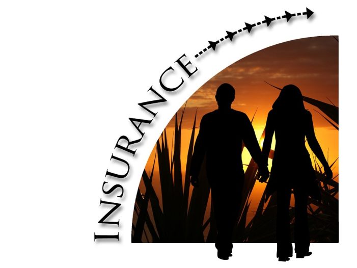 Insurance-Domains – for the insurance industry by the insurance industry