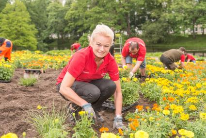 Sparkasse Bremen schließt für einen Tag die Pforten / Soziales Engagement im großen Stil für die Hansestadt (FOTO)
