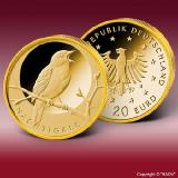 Münzen-News des Bayerischen Münzkontors®: Am 23. Juni startet die neue 20 Euro-Goldmünzen-Serie ?Heimische Vögel? mit der Ausgabe ?Nachtigall?