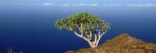 Berufliche Veränderung im Urlaub planen – Veränderungscoaching auf La Gomera