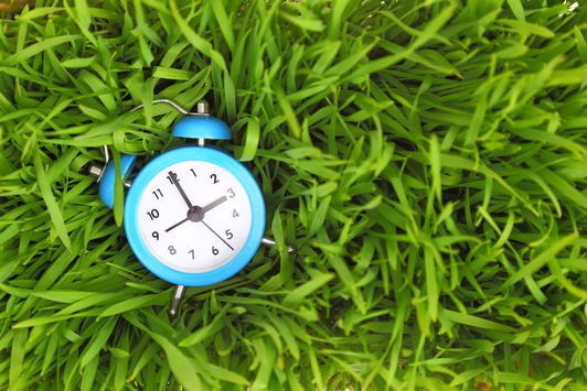 Zeitmanagement – Die 5 besten Tipps zum Fernstudium neben dem Beruf (FOTO)
