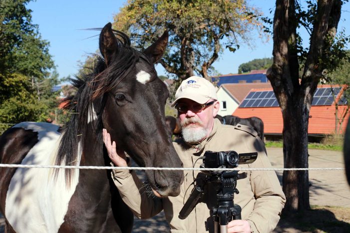 Was ist Pferdecoaching oder „Horse Assisted Coaching“? Was ist Pferdecoaching oder „Horse Assisted Coaching“?