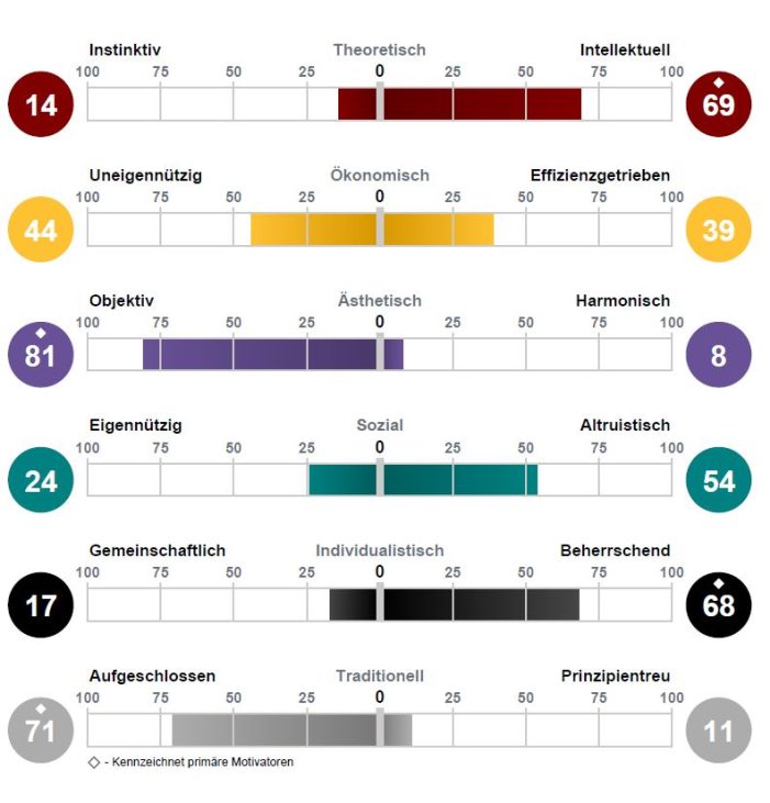 12 Driving Forces: Das treibt Menschen wirklich an! 12 Driving Forces: Das treibt Menschen wirklich an!