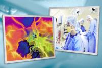 MSC Technologies bietet hochwertige 38 cm (15″) TFT Display-Familie von Innolux für die Industrie und Medizintechnik an