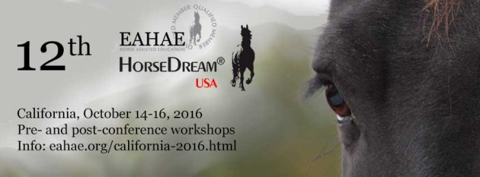 HorseDream in Kalifornien.