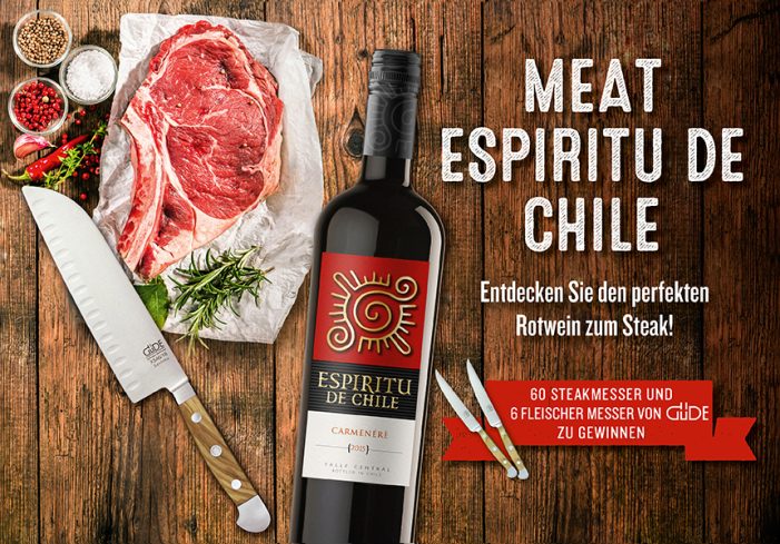 Espiritu de Chile verlost edle Messer von Güde