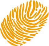 Seminarroadshow: Digitaldruckveredelung&Individualisierung