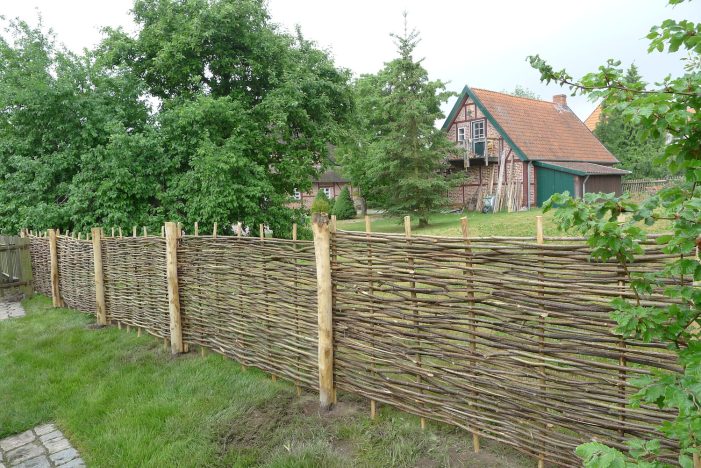 Gar nicht so „grün“ und ökologisch wie gedacht: spoga – Internationale Gartenmesse in Köln Gar nicht so „grün“ und ökologisch wie gedacht: spoga – Internationale Gartenmesse in Köln