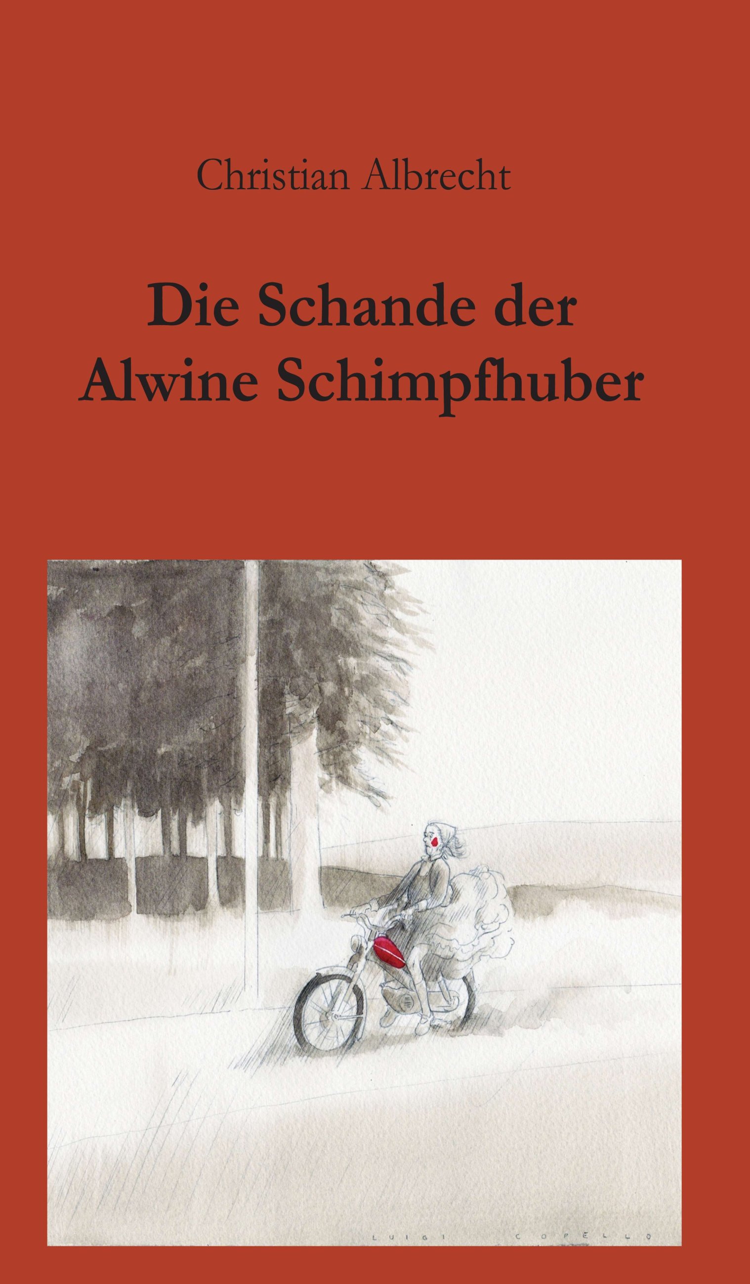 Die Schande der Alwine Schimpfhuber – bewegende Erzählung über das Opfer einer Vergewaltigung