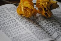 Bible-Domains – die Domains zum Reformationstag