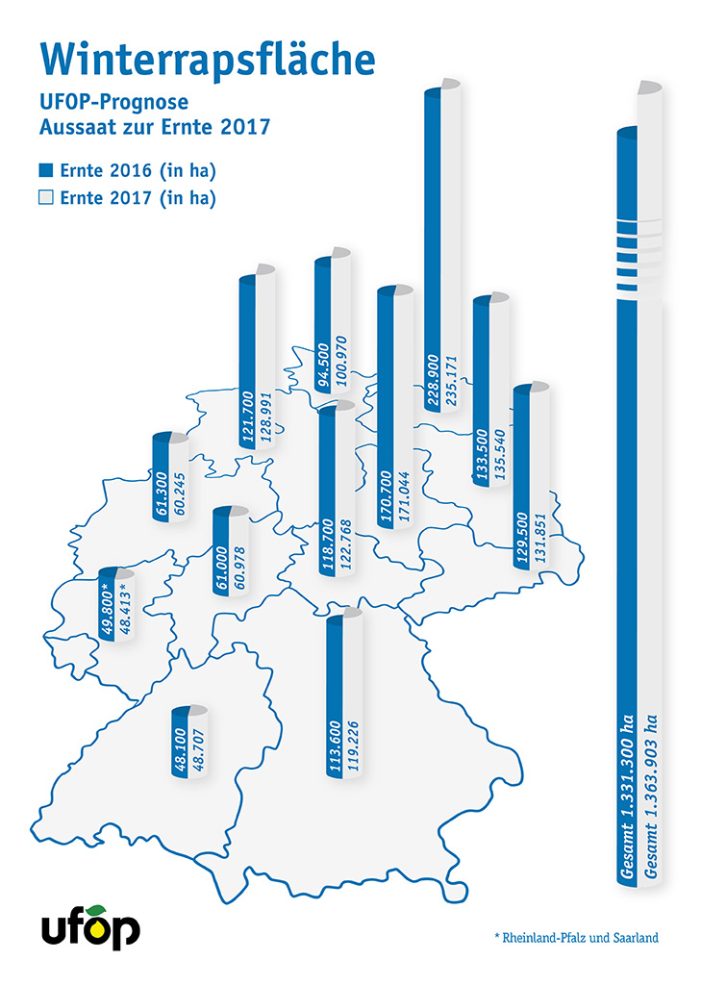 UFOP-Studie: Winterrapsanbau zur Ernte 2017 bleibt auf hohem Niveau