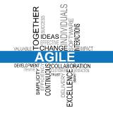 Agile Werte