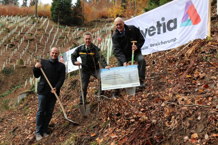Helvetia Versicherungen und ForstBW pflanzen Eichenschutzwald