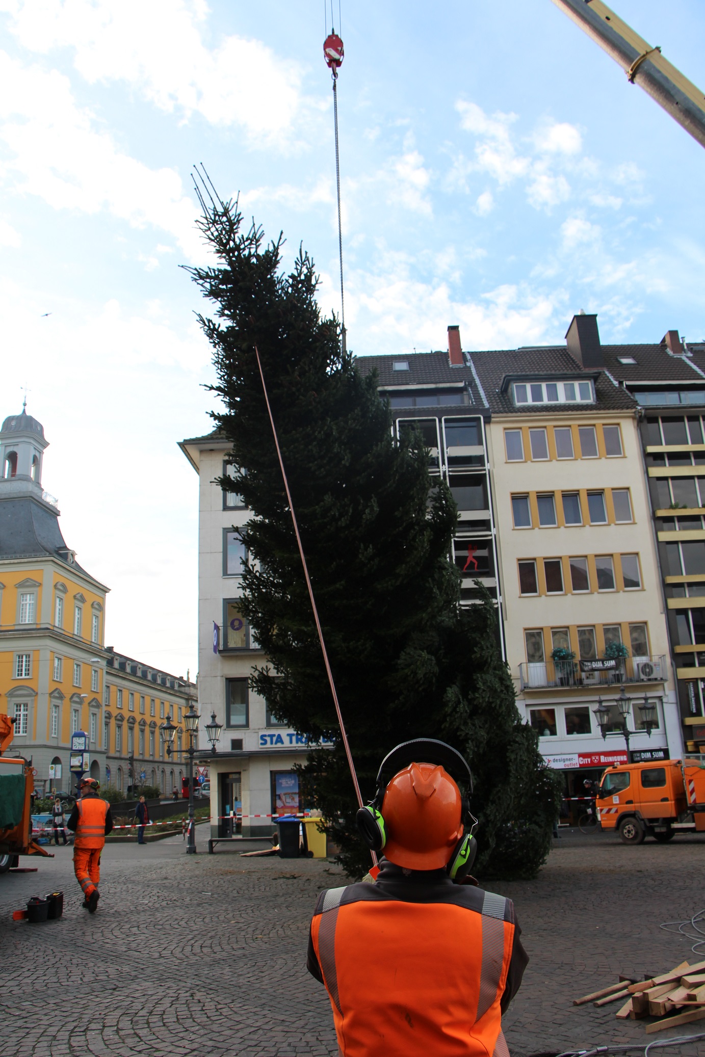 Knauber stellt Weihnachtsbaum auf Bonner Marktplatz