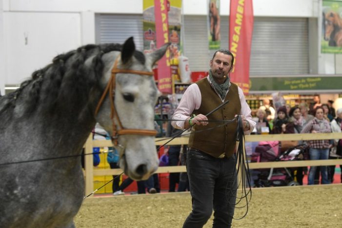 Hipp Hipp HIPPOLOGICA!: Pferdesportmesse feiert 25. Geburtstag – Freier Eintritt für alle im Dezember 1991 Geborenen (FOTO)