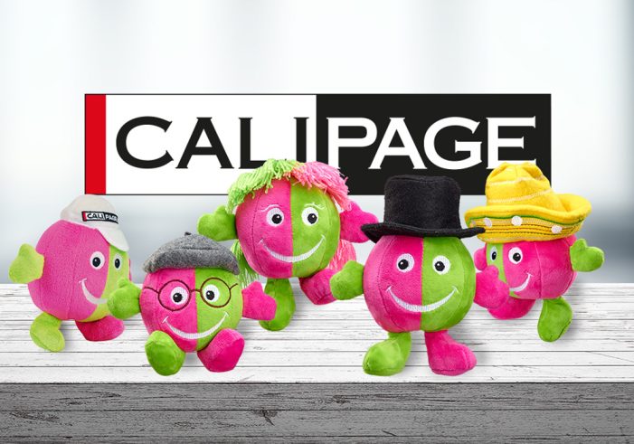 CALIPAGE goes Schule & Kindergarten Jetzt neu, der Onlineshop für Kindergarten, Schule und Sekretariat CALIPAGE goes Schule & Kindergarten Jetzt neu, der Onlineshop für Kindergarten, Schule und Sekretariat