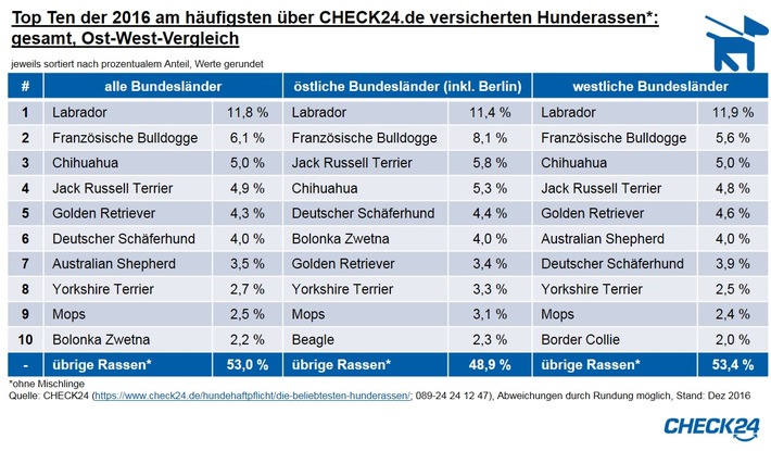 Hundehaftpflichtversicherung: Labrador beliebteste Hunderasse 2016 (FOTO)