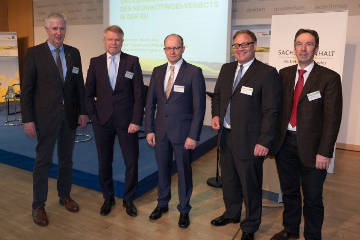 Studie: Neonikotinoid-Verbot im Raps kostet EU-weit jährlich 900 Mio. Euro