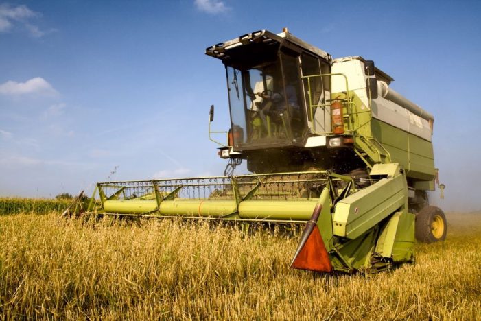 Finanzierungsmodell für die Landwirtschaft – Sale & Lease Back als bankenunabhängiger Lösungsansatz