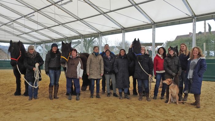Pferdegestützte Führungsseminare und Teamtrainings