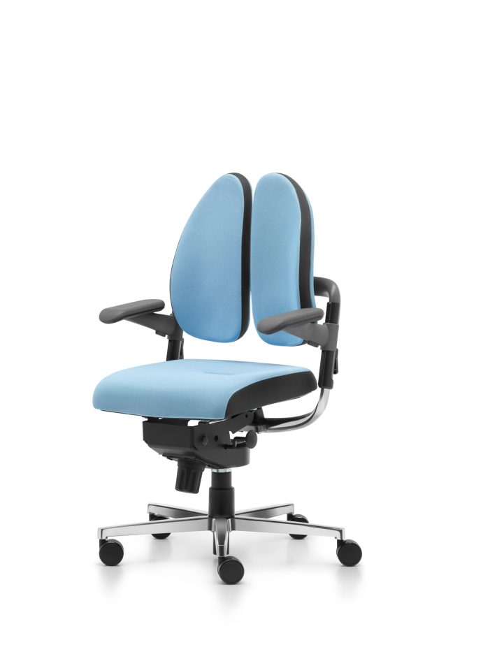 Innovativer Bürodrehstuhl Xenium Freework Duo Back