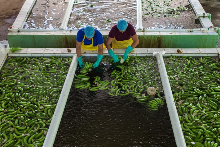 Nachhaltig investieren in Fairtrade und Bio / TransFair auf der Biofach-Messe in der Fairen Metropolregion Nürnberg (FOTO)