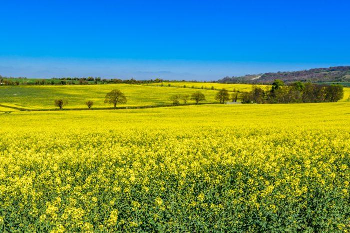 Energie-Revolution: Alternative zu fossilen Energieträgern Großaufträge in Kürze – 385% Aktientip Energie-Revolution: Alternative zu fossilen Energieträgern Großaufträge in Kürze – 385% Aktientip