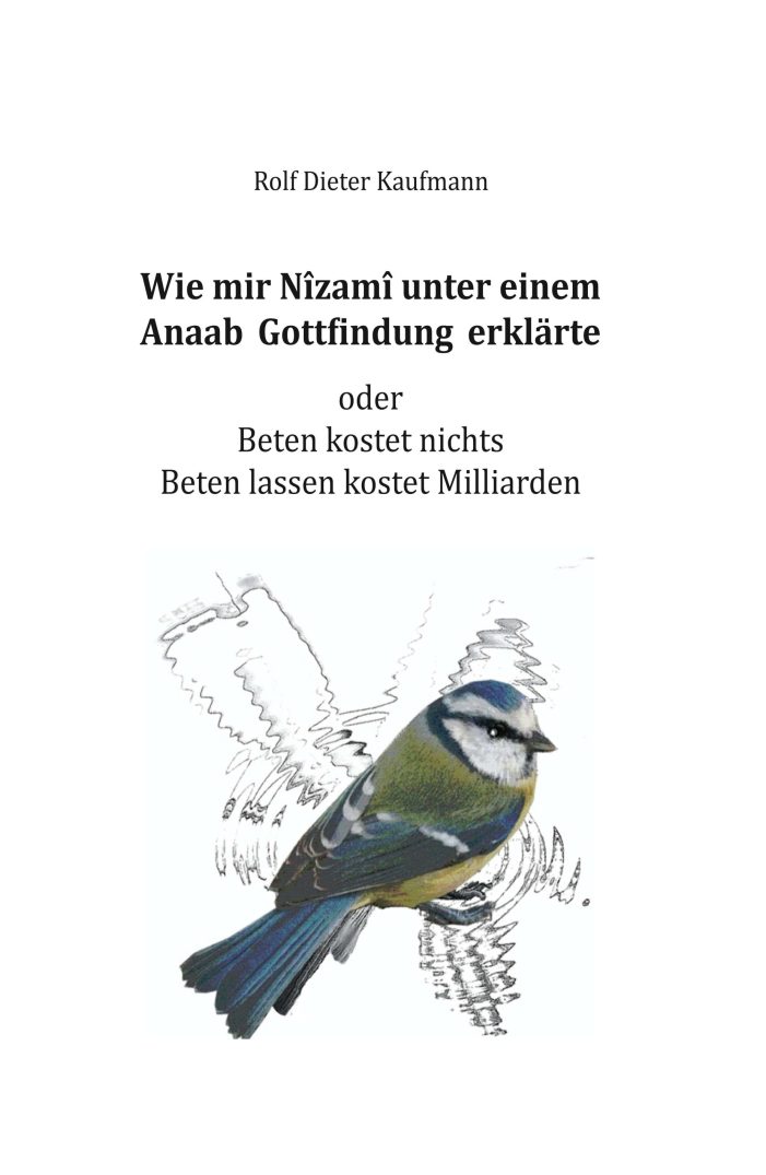 Nîzamî und die Gottfindung – Gespräche über religiöse, kulturelle und gesellschaftliche Phänomene Nîzamî und die Gottfindung – Gespräche über religiöse, kulturelle und gesellschaftliche Phänomene
