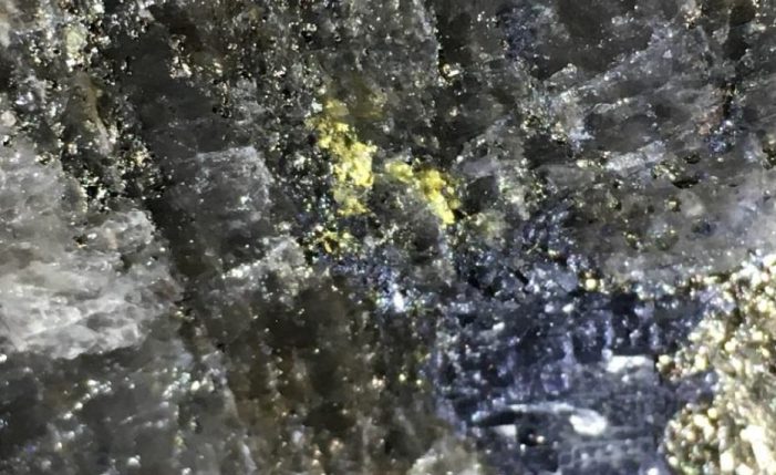 Harte Gold – Extrem hohe Goldgehalte von über 115 Gramm pro Tonne!