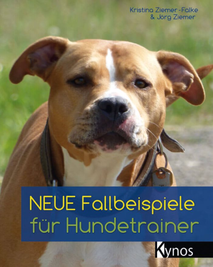Eifersucht und Beißvorfall