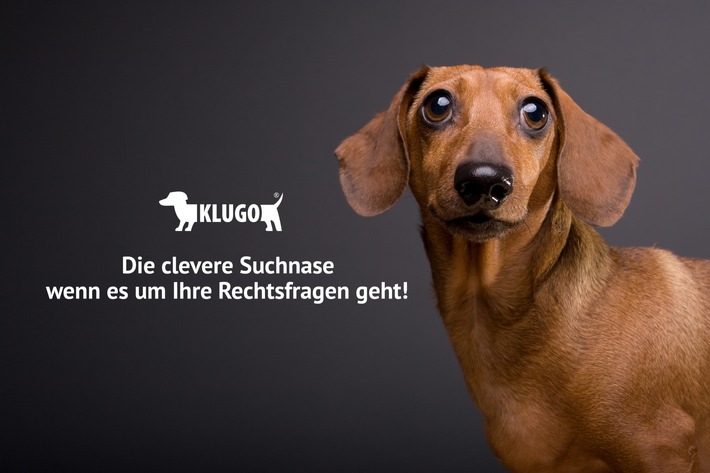 DEVK gründet Start-up: zweieinhalb Monate von der Idee bis zur Markteinführung (FOTO)