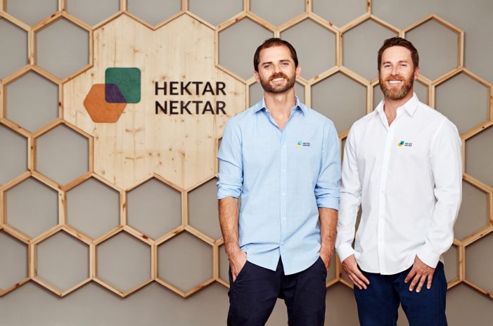 Mit hektarnektar.com dem Insektensterben entgegenwirken Mit hektarnektar.com dem Insektensterben entgegenwirken