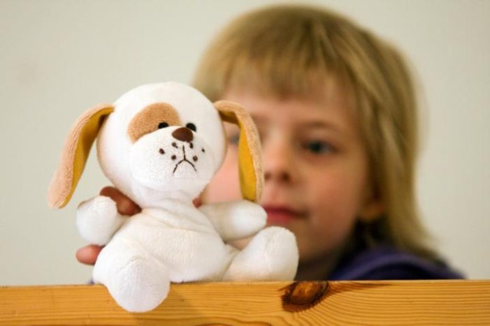 Der Bedarf ist hoch: Backhaus Kinder- und Jugendhilfe (BKJH) Itzehoe stockt Angebot auf und startet neuen Vorbereitungskurs für Profifamilien