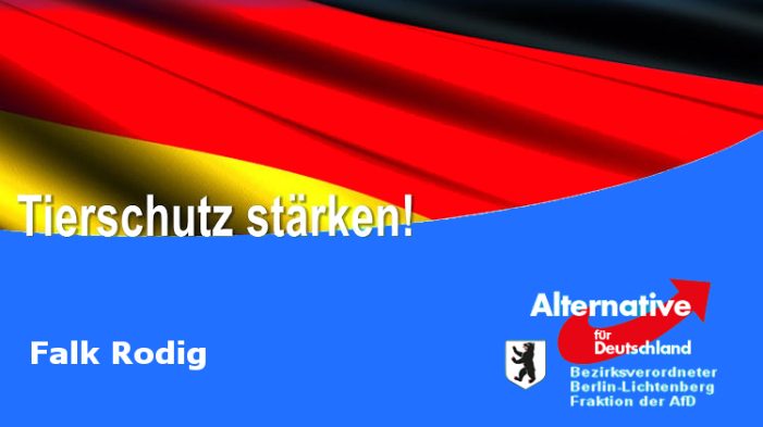 Berlin – Falk Rodig: AfD rettet Europas größtes Tierheim