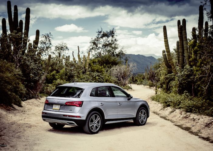 Mit der Eröffnung des Audi-Logistikzentrums in Mexiko konnte auch Ingenics eine Punktlandung feiern Mit der Eröffnung des Audi-Logistikzentrums in Mexiko konnte auch Ingenics eine Punktlandung feiern