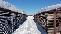 Maple Gold Mines – der neue Star im Abitibi Greenstone Belt