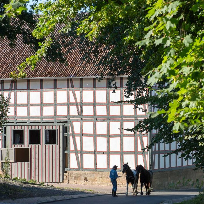 Trainer und Coachs aus aller Welt treffen sich in Knüllwald Trainer und Coachs aus aller Welt treffen sich in Knüllwald