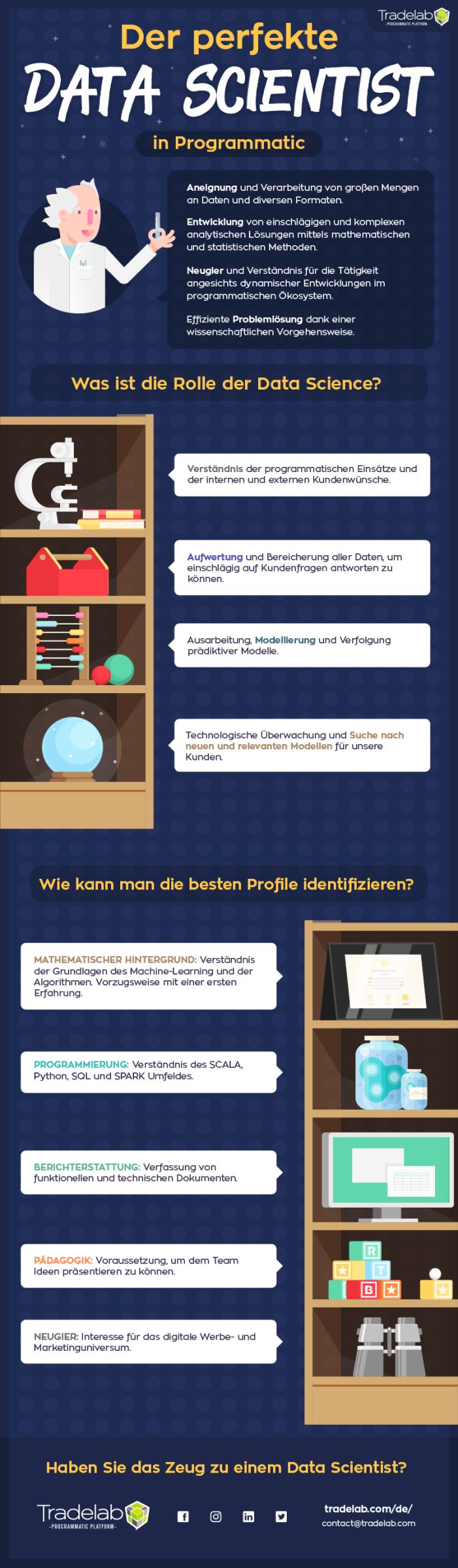 Infografik: Traumjob Data Scientist im Programmatic
