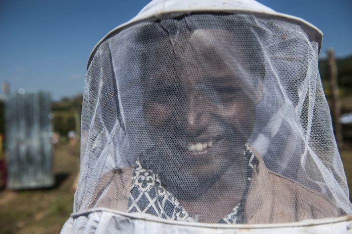 Weltbienentag: Wie Honigbienen Jobs in Äthiopien schaffen