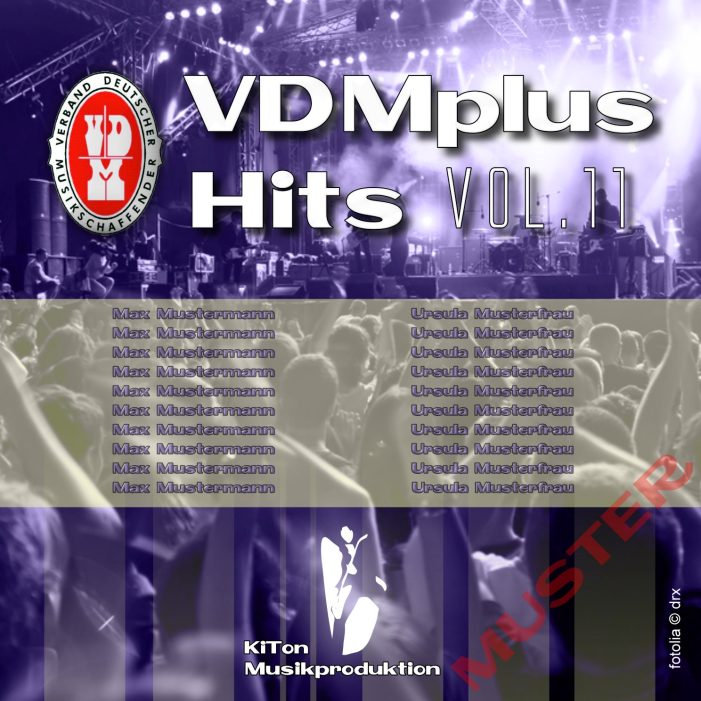 Verkaufserfolge im Musikgeschäft mit dem VDMplus