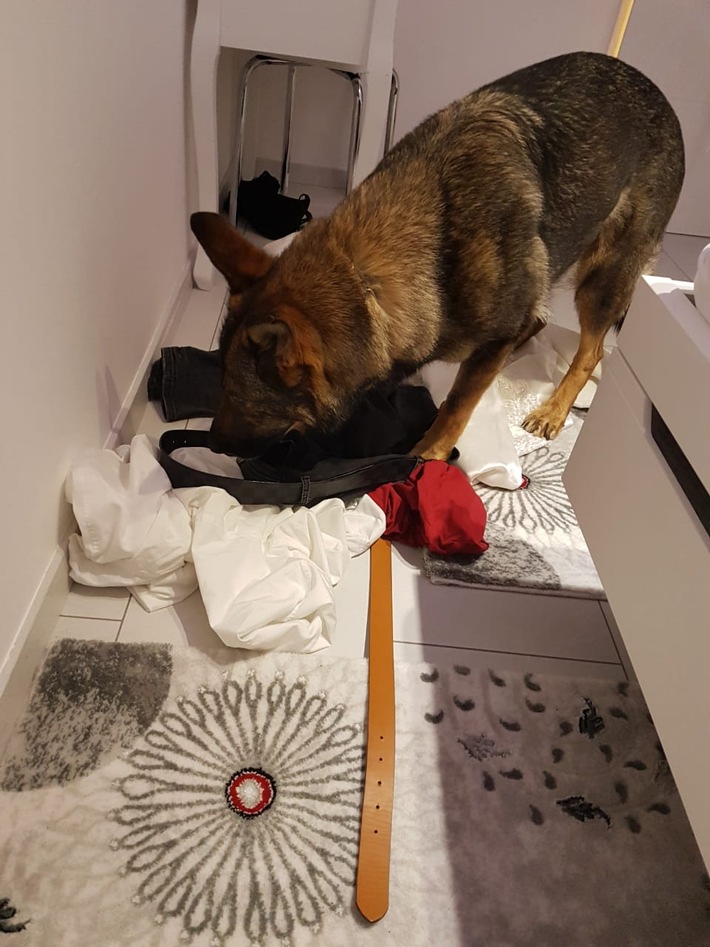 Großer Schlag gegen organisierte Schwarzarbeit 
Vier Festnahmen im Rhein-Main-Gebiet (FOTO)