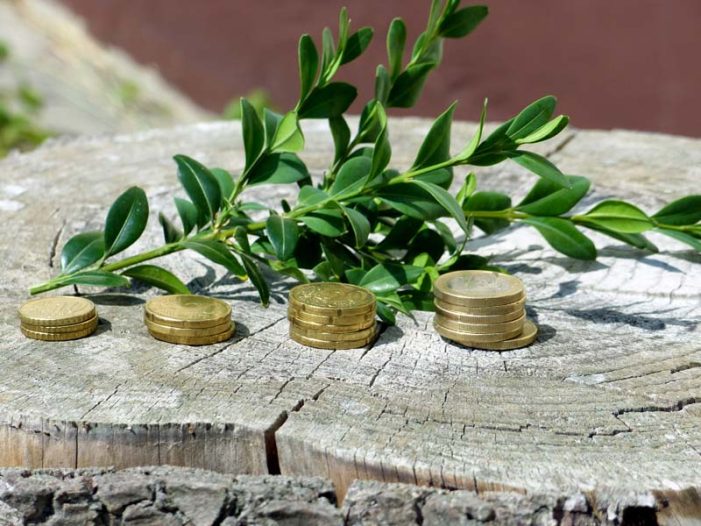 Interview: Ist Nachhaltigkeit in Sachen Geld  die bessere Alternative?