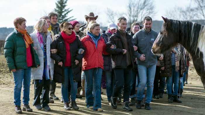 Mit Pferden Führung optimieren Mit Pferden Führung optimieren