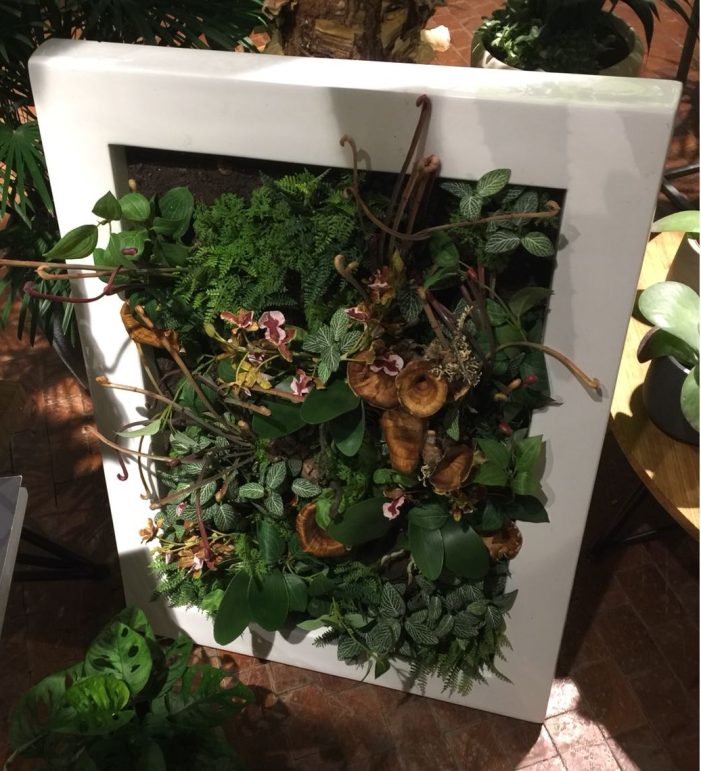 Gartenkunst oder Innovation: Vertikale Gärten im Haus